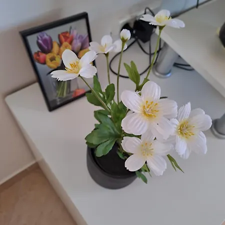 Valbandon Fazana